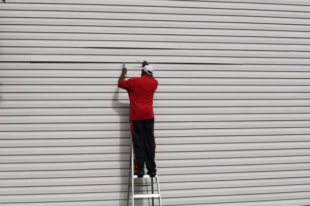 Best Stone Veneer Siding  in Madison Heights, MI