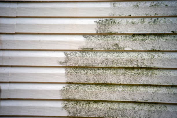 Storm Damage Siding Repair in Madison Heights, MI