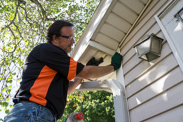 Best Aluminum Siding Installation  in Madison Heights, MI